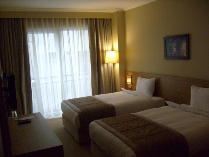 Hotel Almina Park Duzce Rum bild