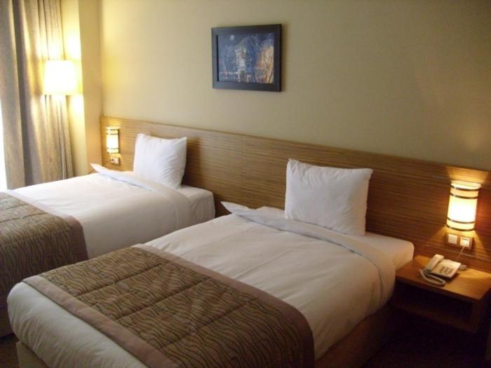 Hotel Almina Park Duzce Rum bild